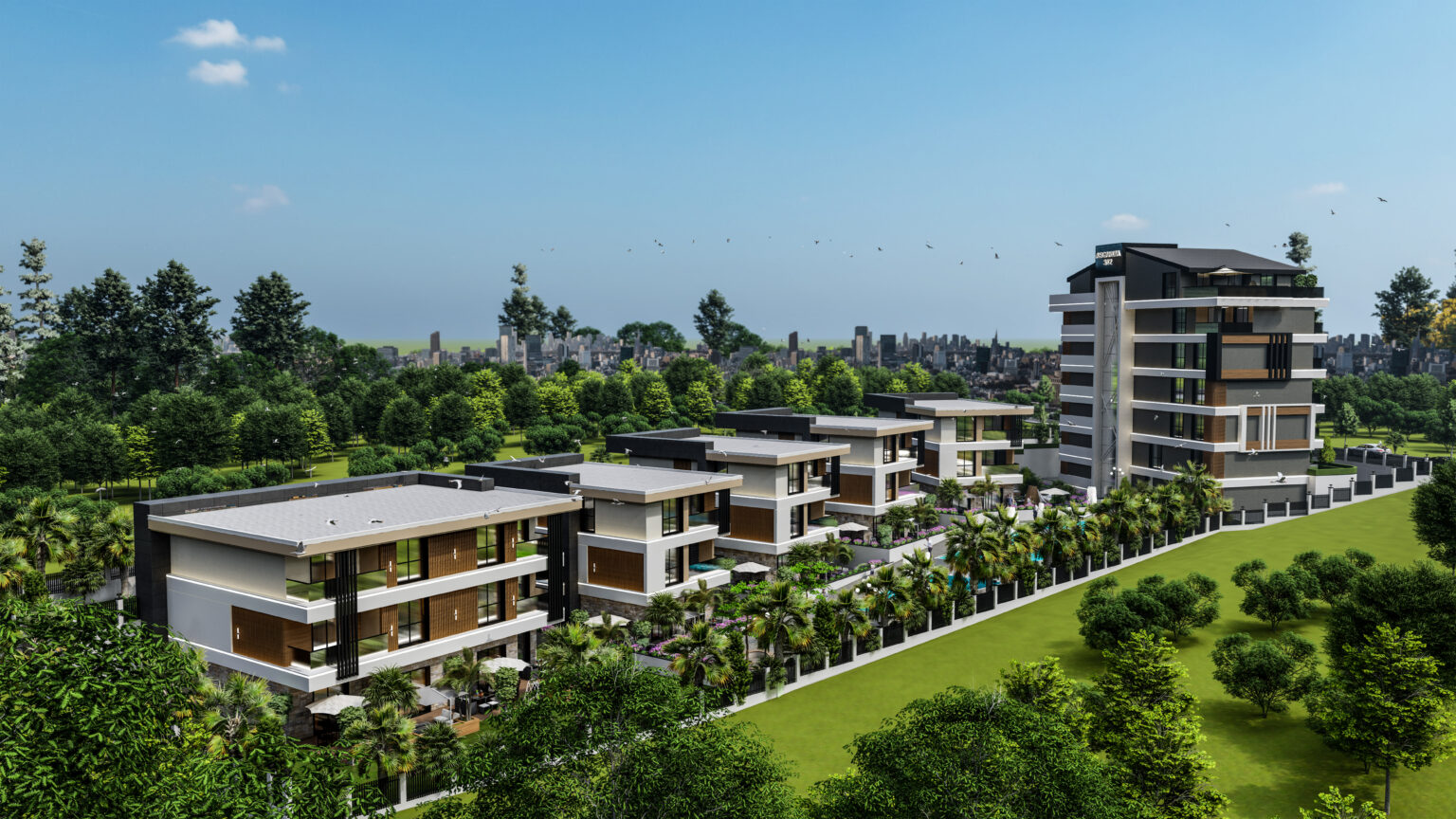 11_0015_s2_15 - Foto