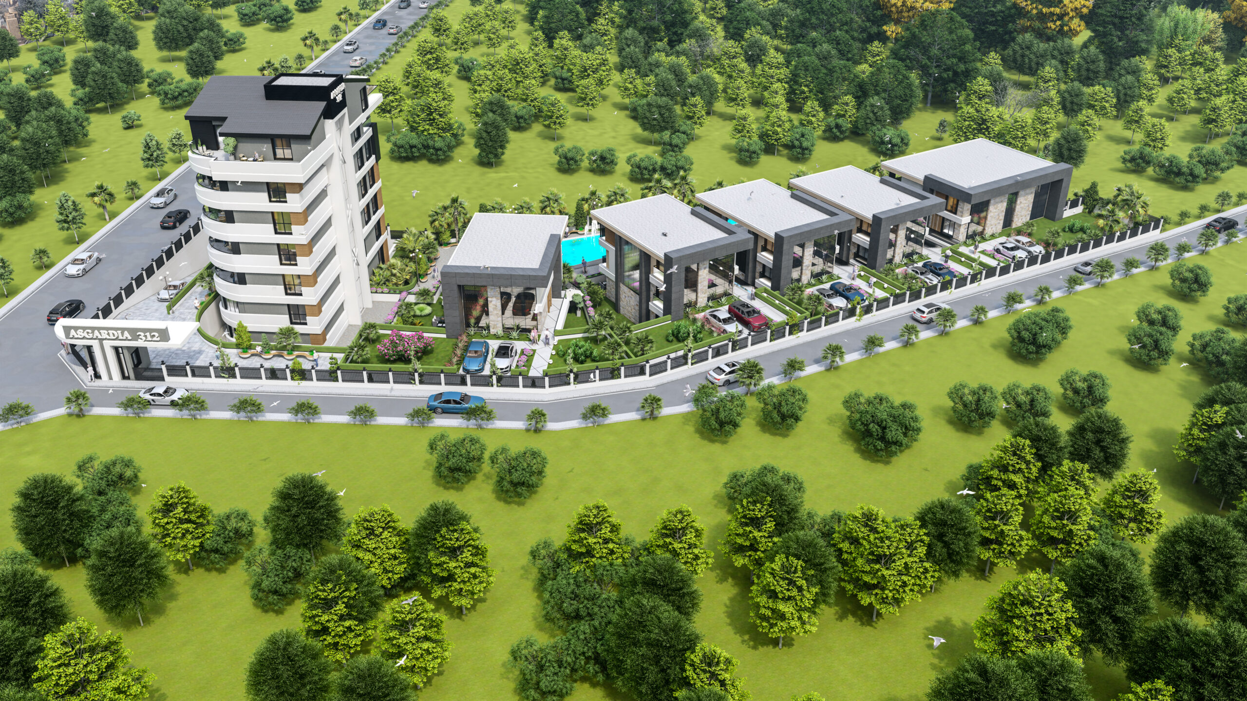 11_0024_S1_6 - Photo