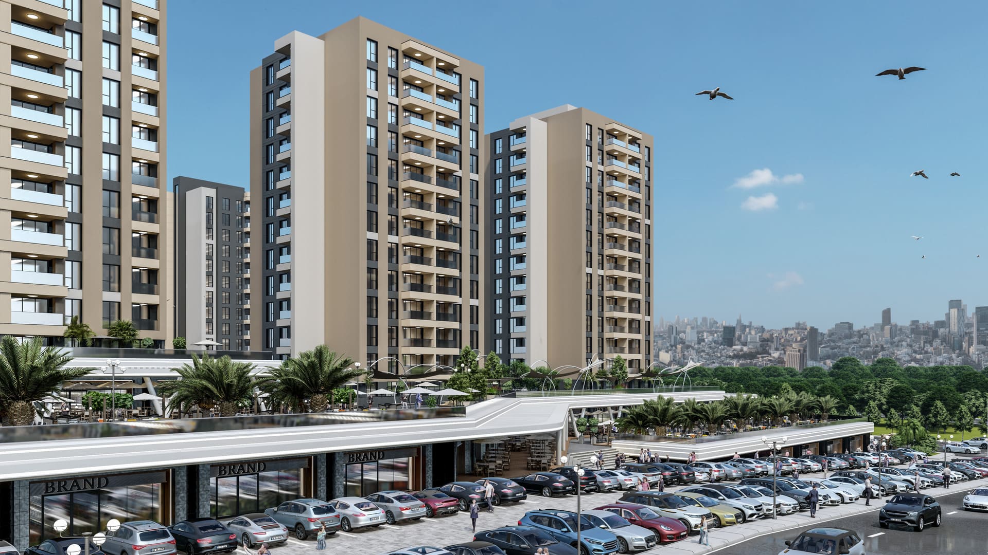 LOGOSUZ_0026_A2_15 - -Foto