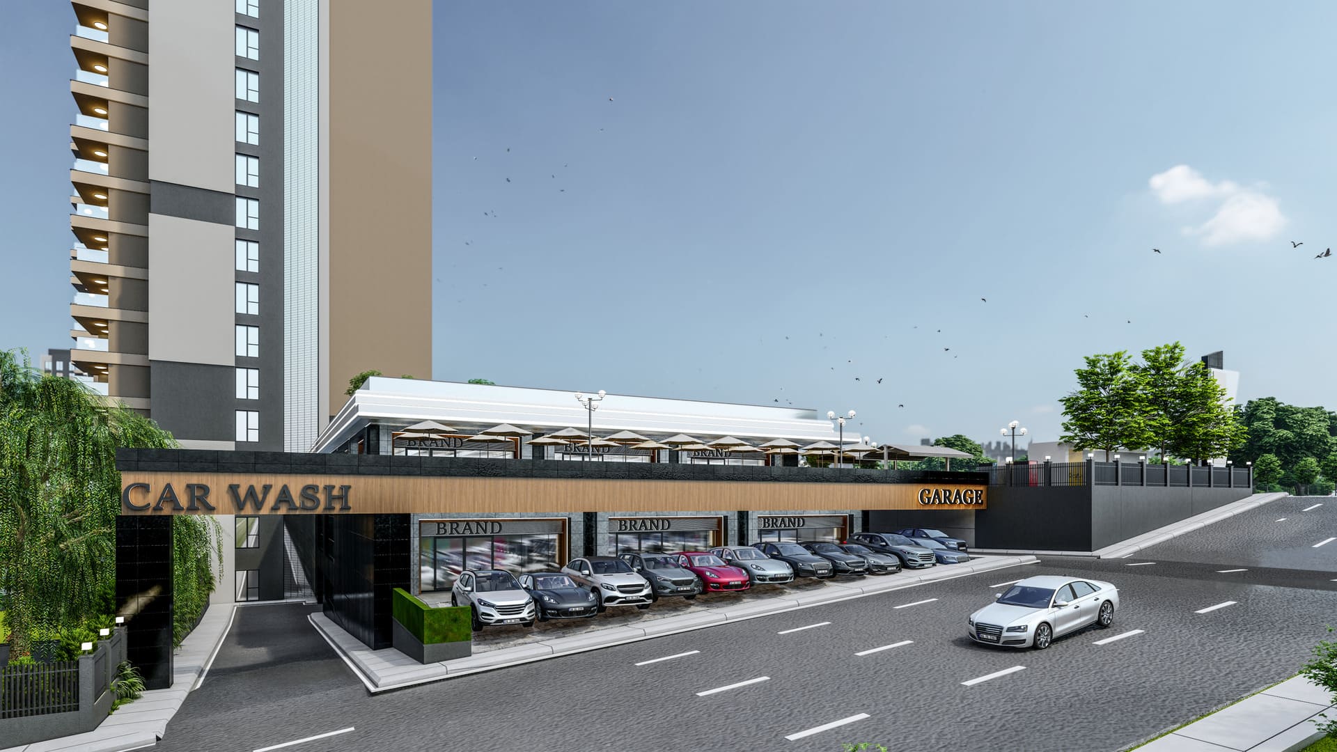 LOGOSUZ_0039_A1_2 - -Foto